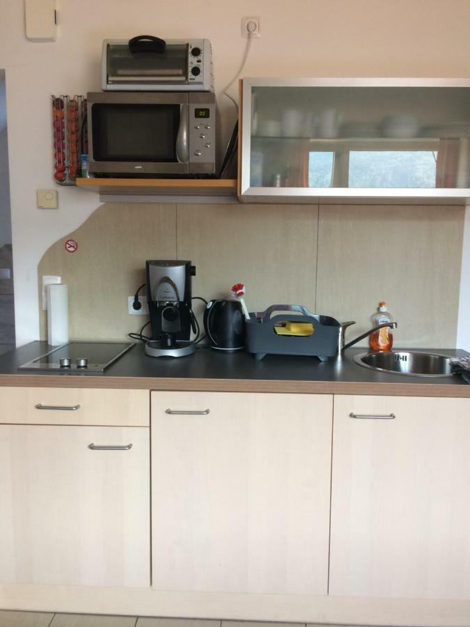 Ferienwohnung Frieser Штайндорф-ам-Оссиахер-Зее Экстерьер фото
